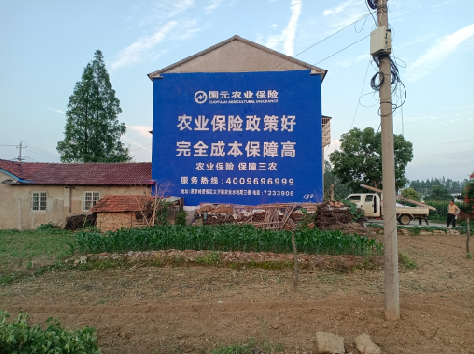 玉龙墙体广告的优劣势你知道吗？