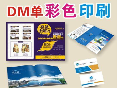 玉龙单页印刷，色彩搭配简单。